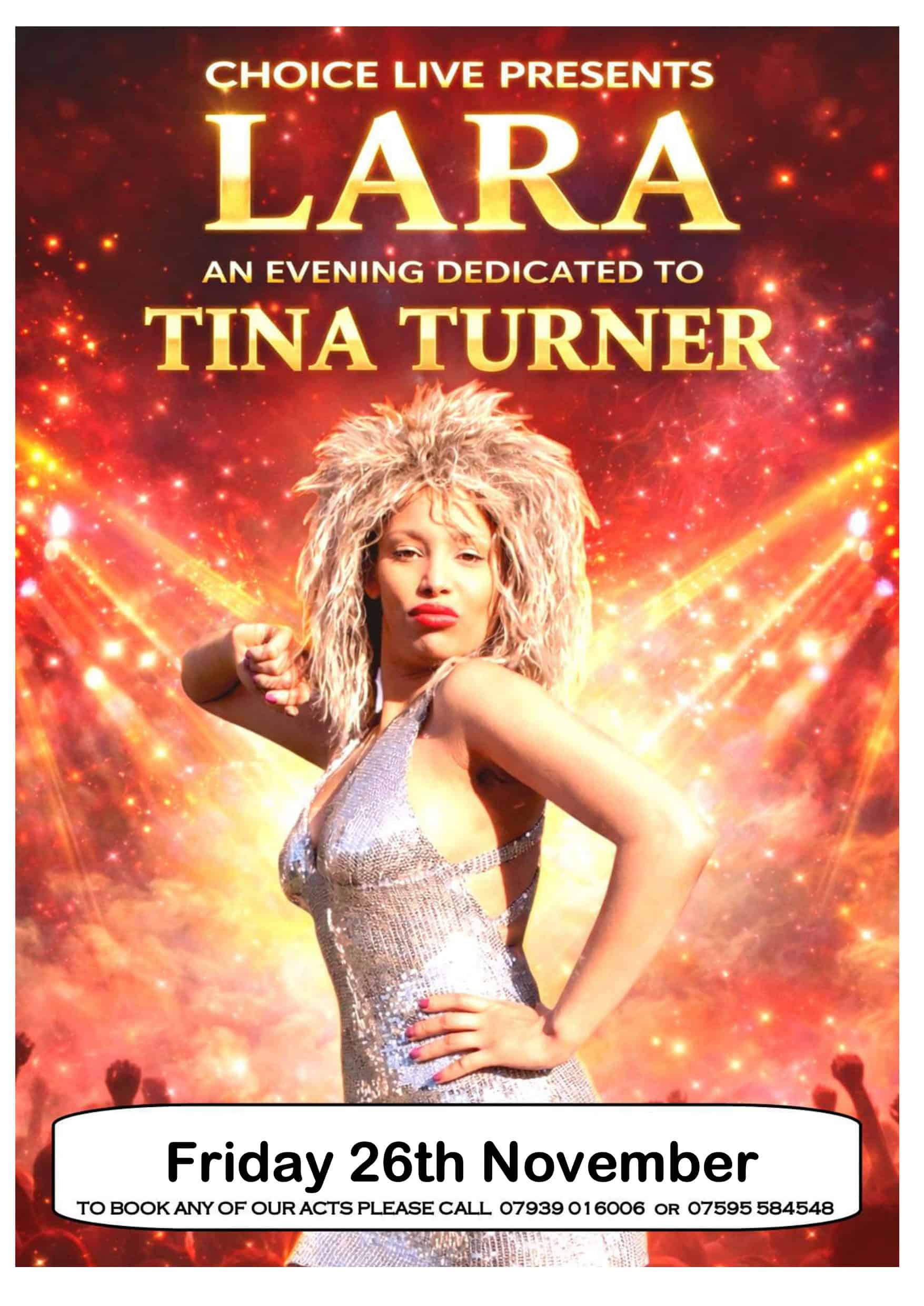 Tina Tribute